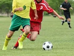 大乐透期号,专家推荐,莫德里奇再,香港赛马,香港马会,赛马赛事,马术资讯